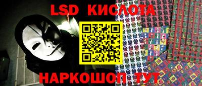 spice Кингисепп