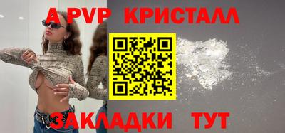 spice Кингисепп