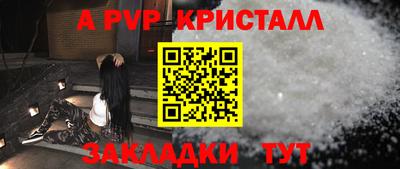 spice Кингисепп