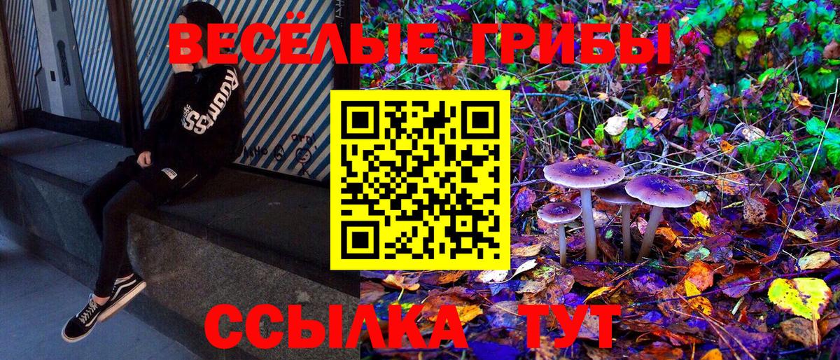 Галлюциногенные грибы мухоморы Комсомольск-на-Амуре