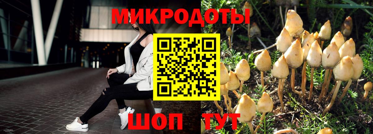 сколько стоит  Вход с VPN  Галлюциногенные грибы Psilocybine cubensis  Комсомольск-на-Амуре  Псилоцибиновые грибы мухоморы 